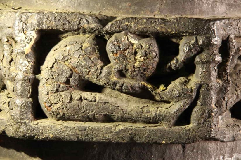 Yogī in paścimottānāsana