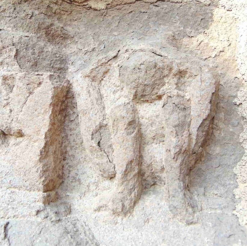 Yogi in Brahmāsana/Phaṇindrāsana